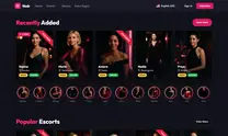 WordPress Escort Theme - another ready-made design