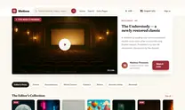 WordPress Video Theme - another ready-made design